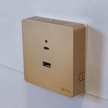 USB ба TypeC /алтлаг шаргал, энгийн ил загвар/