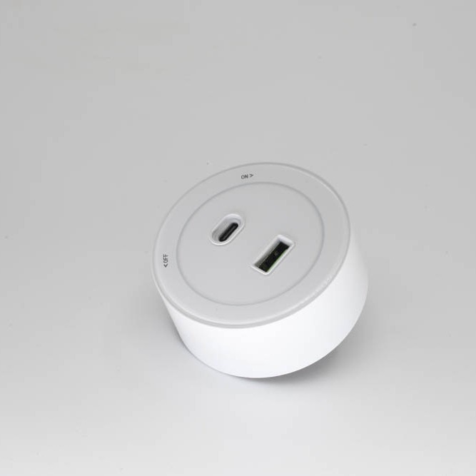Угсрагддаг дан USB,TYPE C /цагаан/
